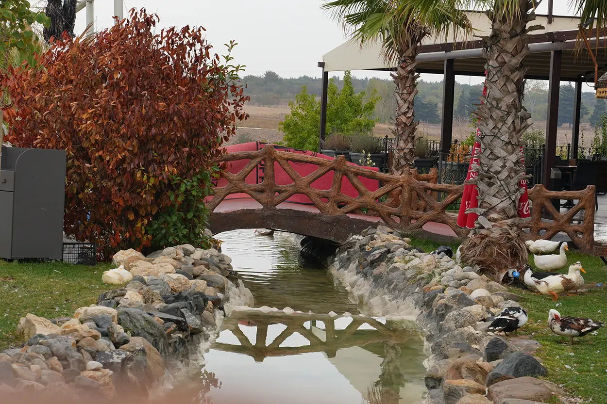 Çiftlik Hayvanları